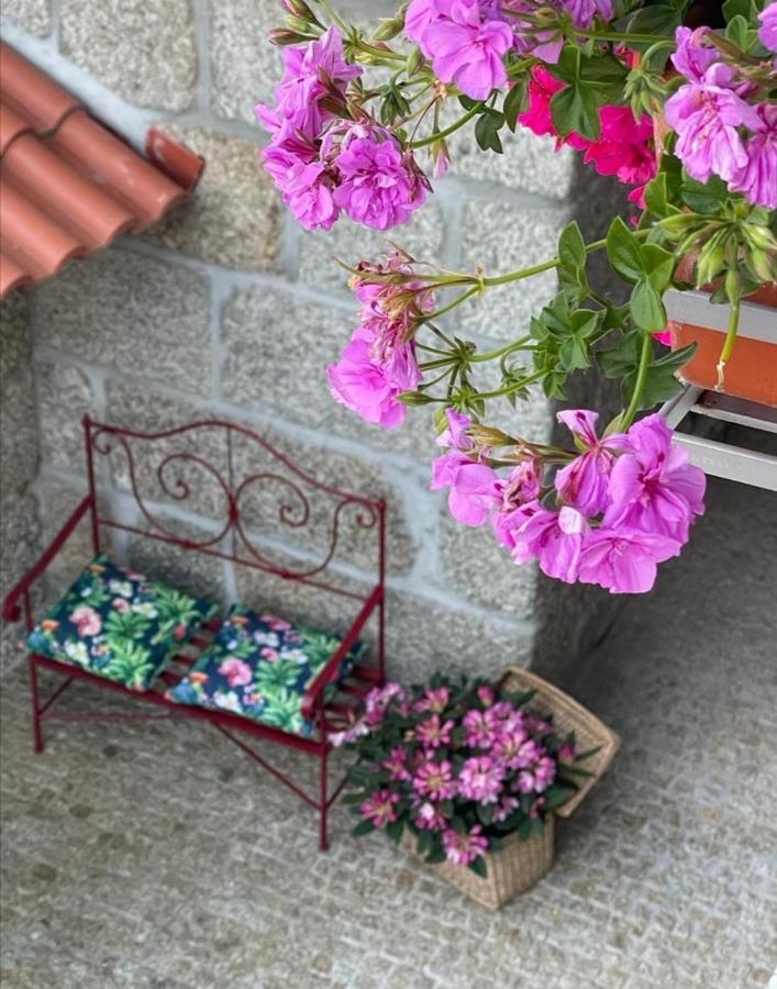 Casa Da Portela - Sem Igual Meinedo Exteriör bild